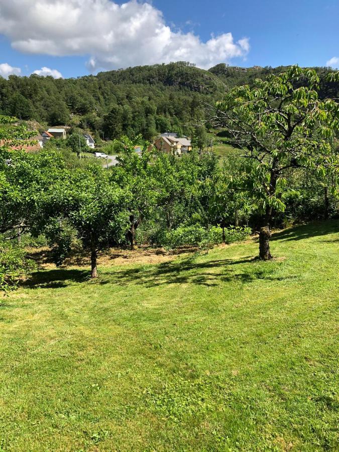 Sokndal - Cozy Vacation Home In Peaceful Surroundings Algard  Екстериор снимка
